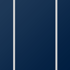 NEV