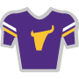Minnesota Vikings