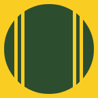 SAN
